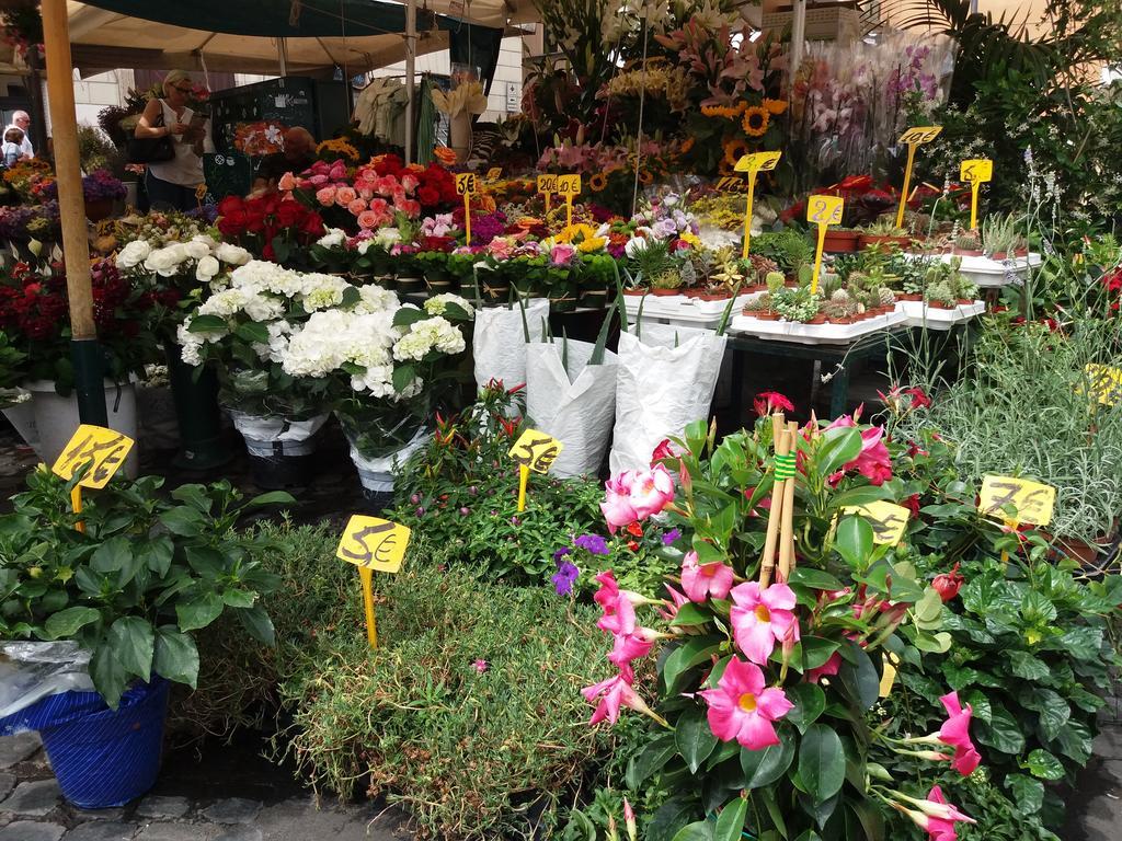 로마 Campofiori 아파트 외부 사진