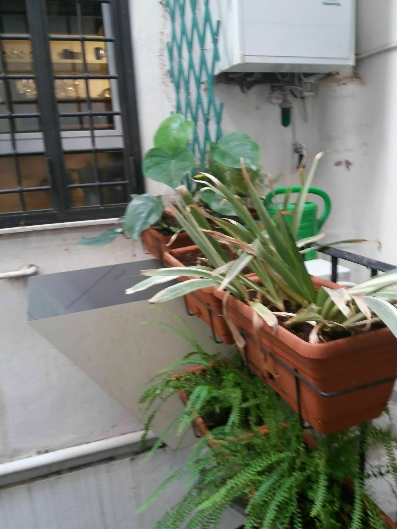 로마 Campofiori 아파트 외부 사진